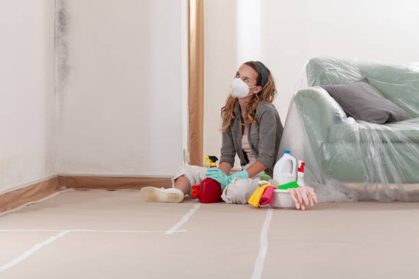 Reliable Mold Remediation contractor in Lakeland, TN by WQB Mold Removal